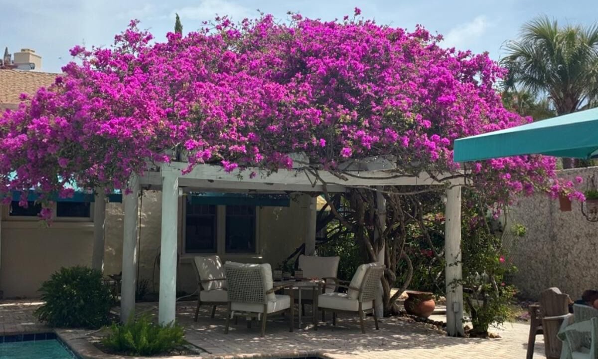 Photo of Outdoor in Delray Beach