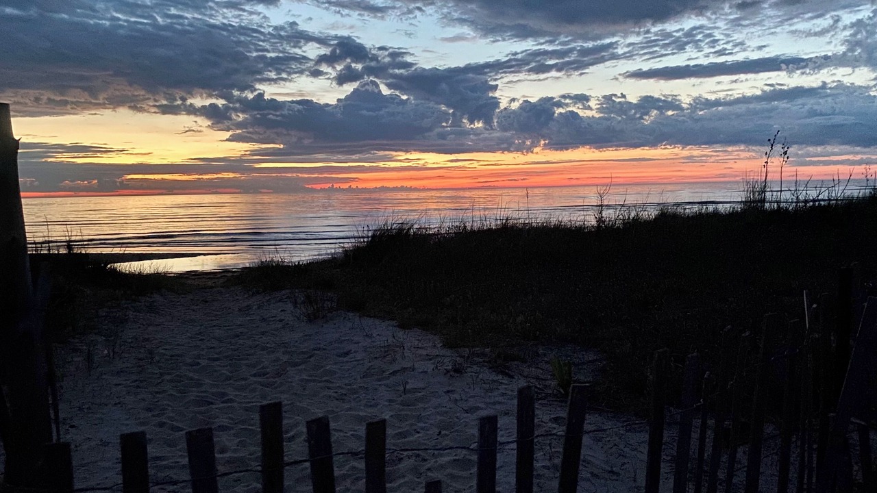 Photo of Others in Prime Hook Beach