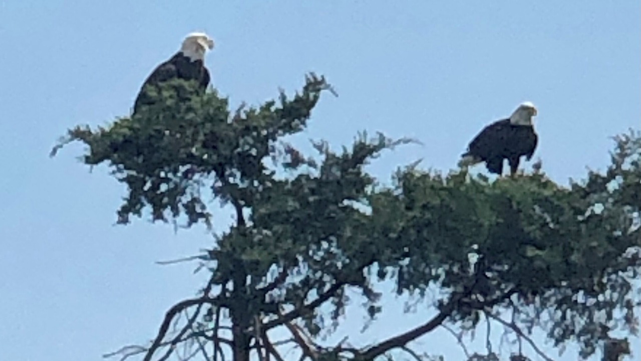Photo of Others in Prime Hook Beach
