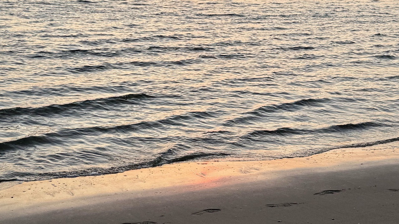 Photo of Others in Prime Hook Beach