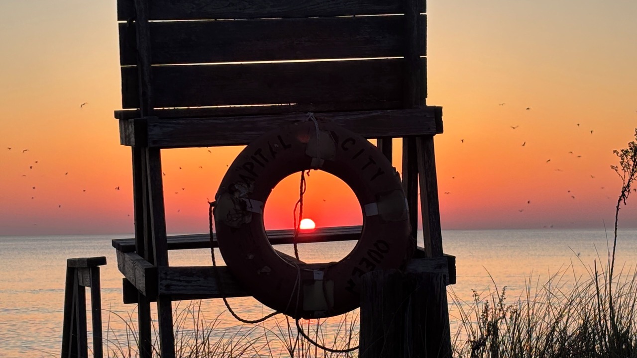 Photo of Others in Prime Hook Beach