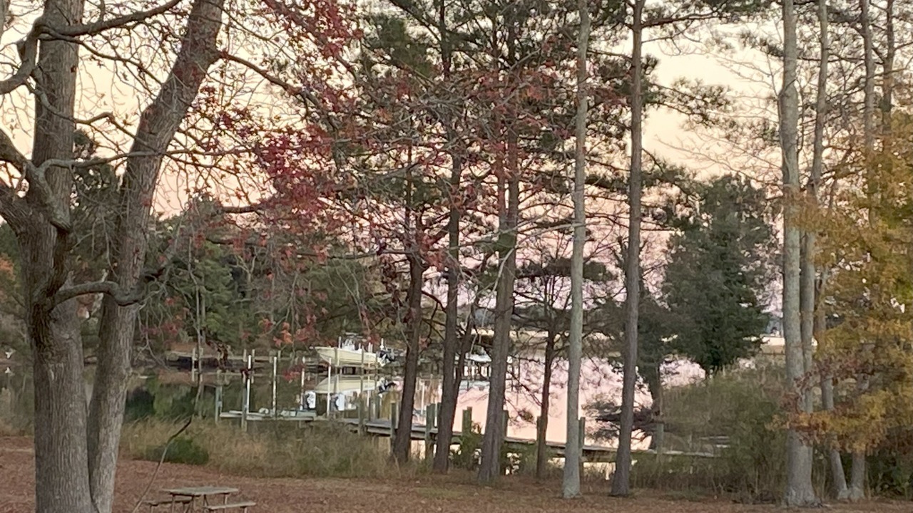 Photo of Others in Mount Holly