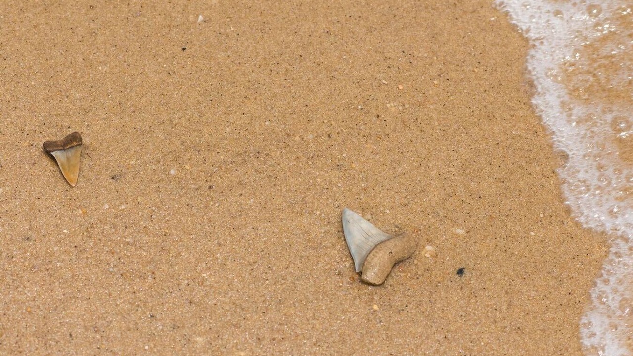 Photo of Others in Barstow