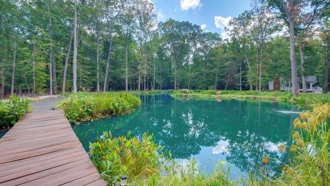 Photo of Outdoor in Pisgah