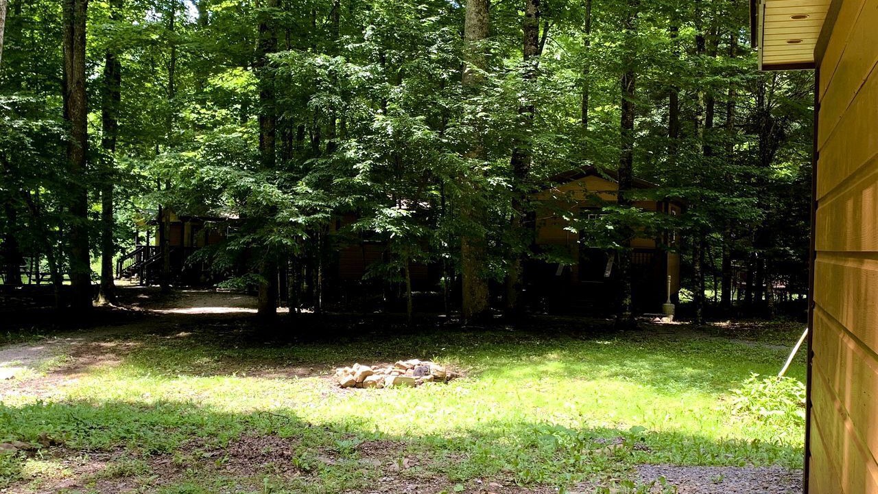 Photo of Outdoor in Mingo