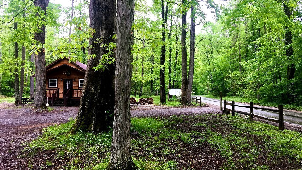 Photo of Outdoor in Mingo