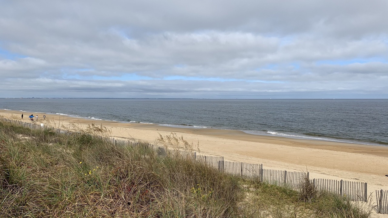Photo of Others in East Ocean View