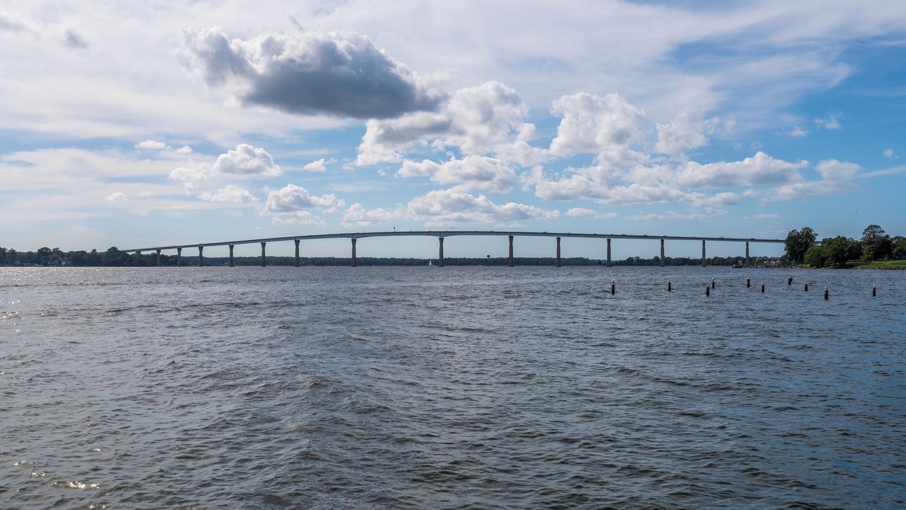Photo of Others in Solomons