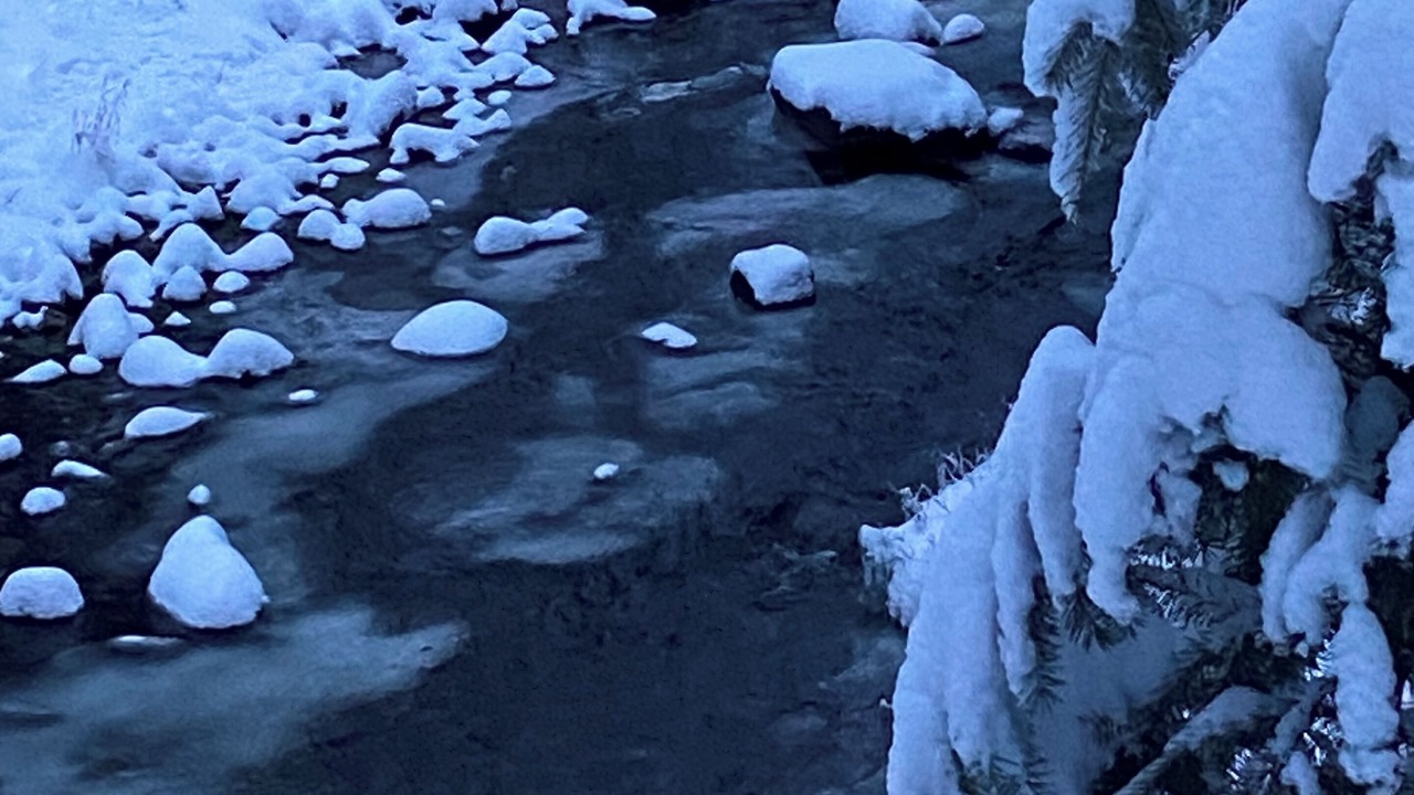 Photo of Others in Rexford
