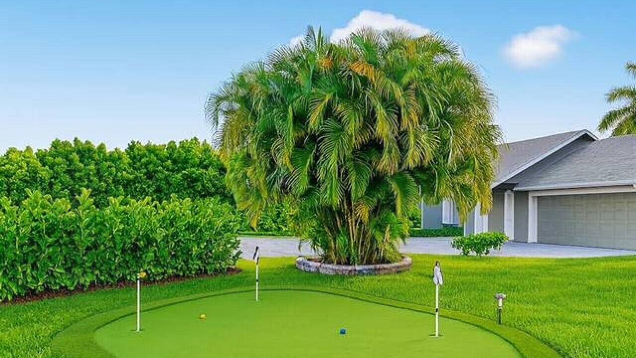 Photo of Others in Tropic Palms