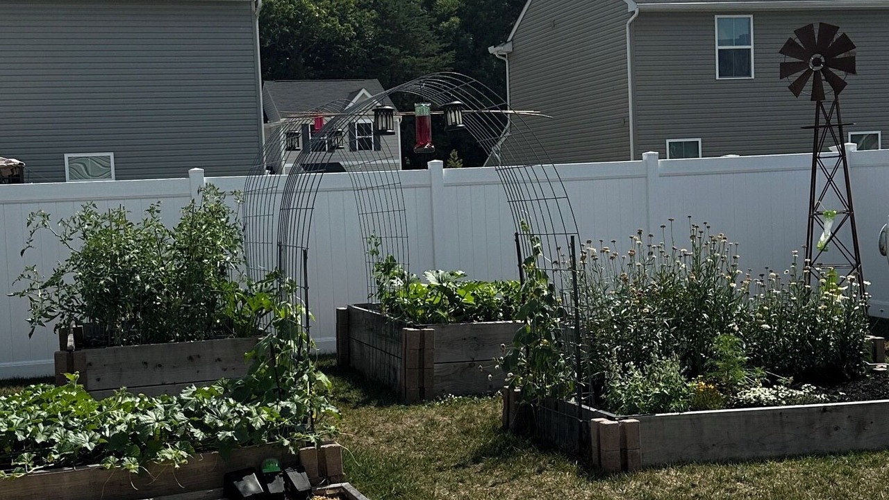 Photo of Outdoor in Cambridge