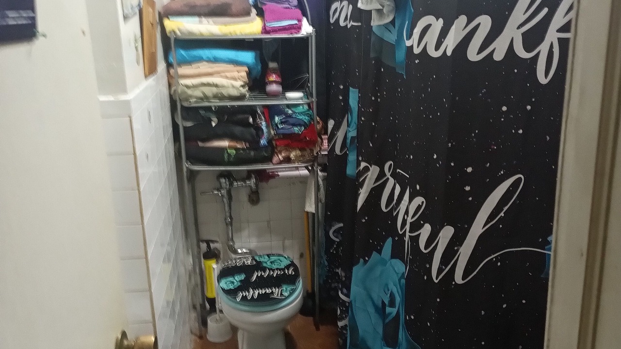 Photo of Bathroom in Williamsbridge