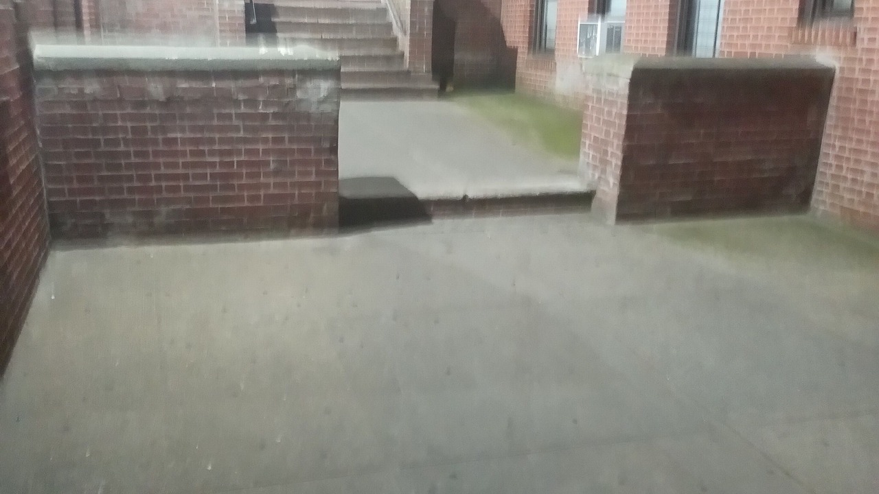 Photo of Outdoor in Williamsbridge