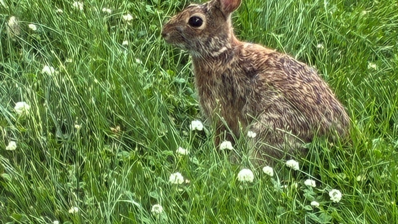 Photo of Others in North Riverdale