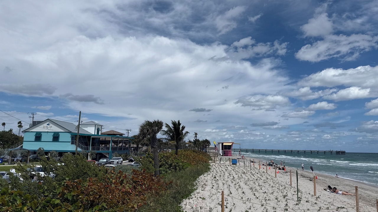 Photo of Others in Dania Beach