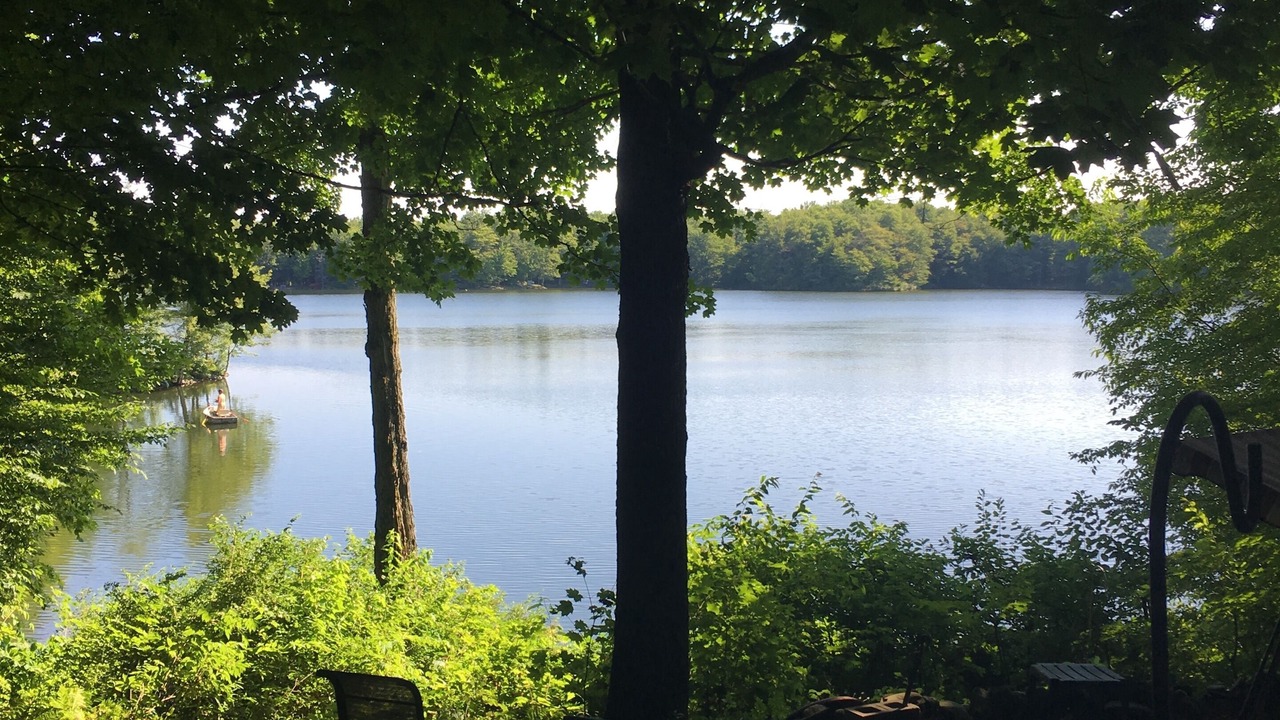 Photo of Outdoor in Bliss