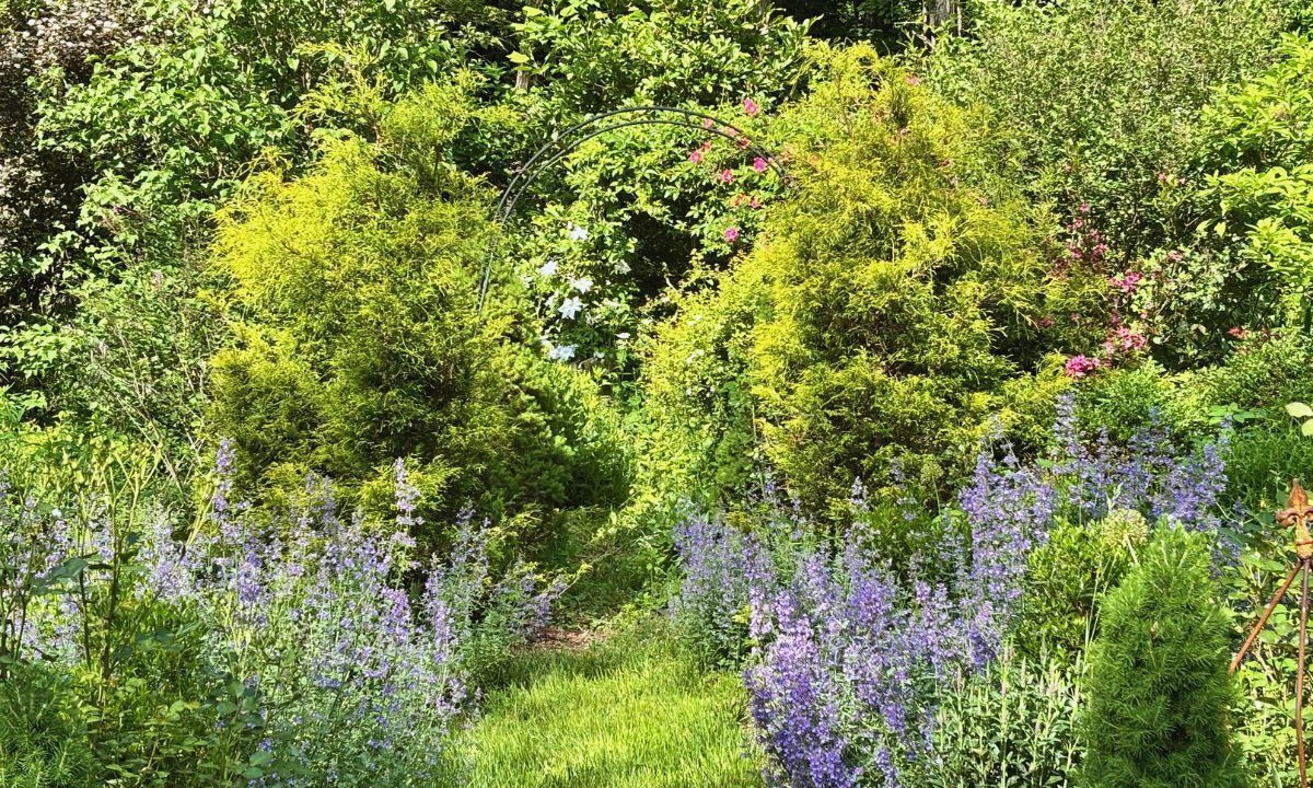 Photo of Outdoor in Canaan