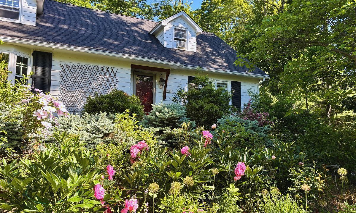 Photo of Outdoor in Canaan