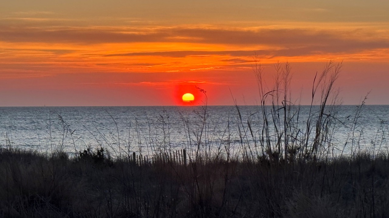 Photo of Others in North Cape May