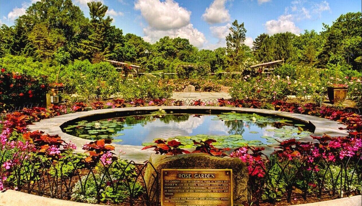 Photo of Outdoor in Somerset