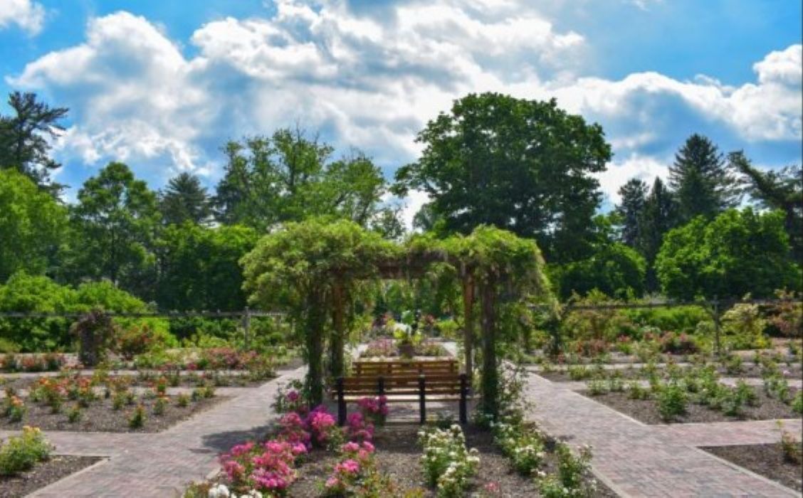 Photo of Outdoor in Somerset