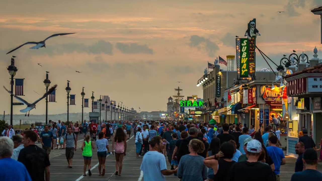 Photo of Others in North End