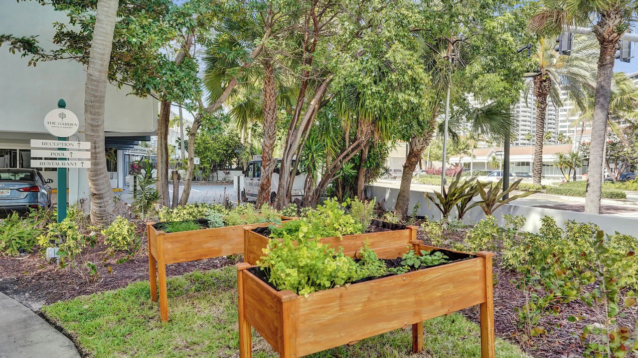 Photo of Outdoor in Galt Mile