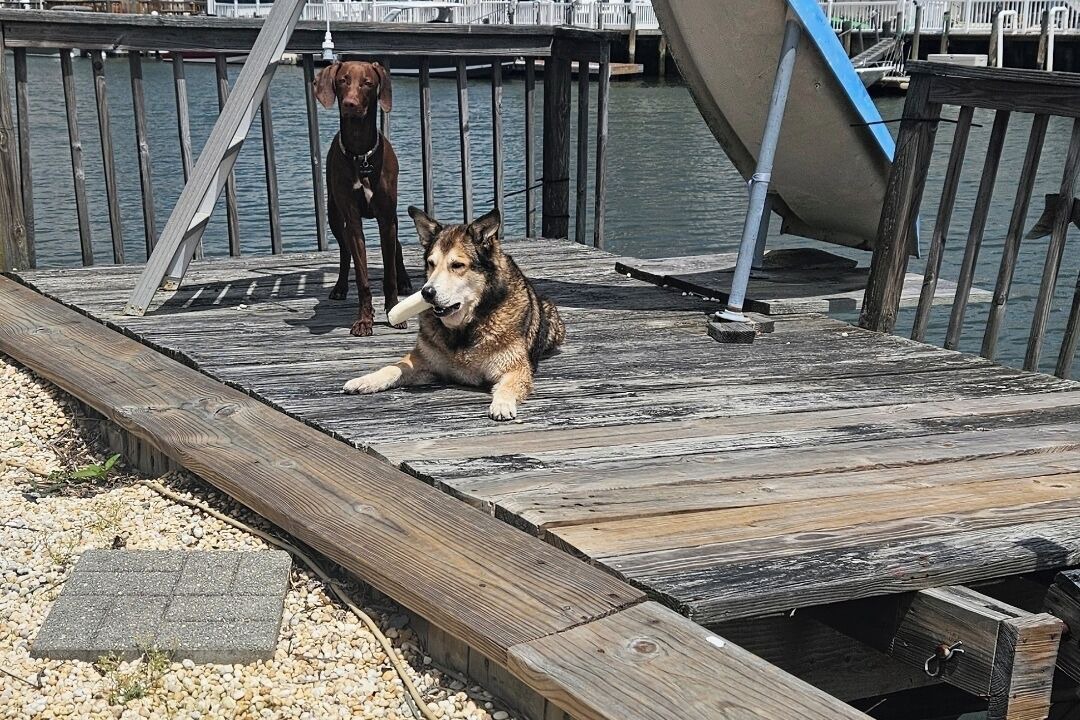 Photo of Others in Mystic Island