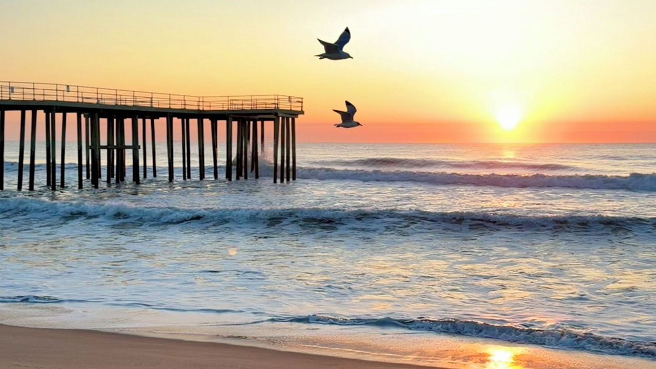 Photo of Others in Ocean Grove