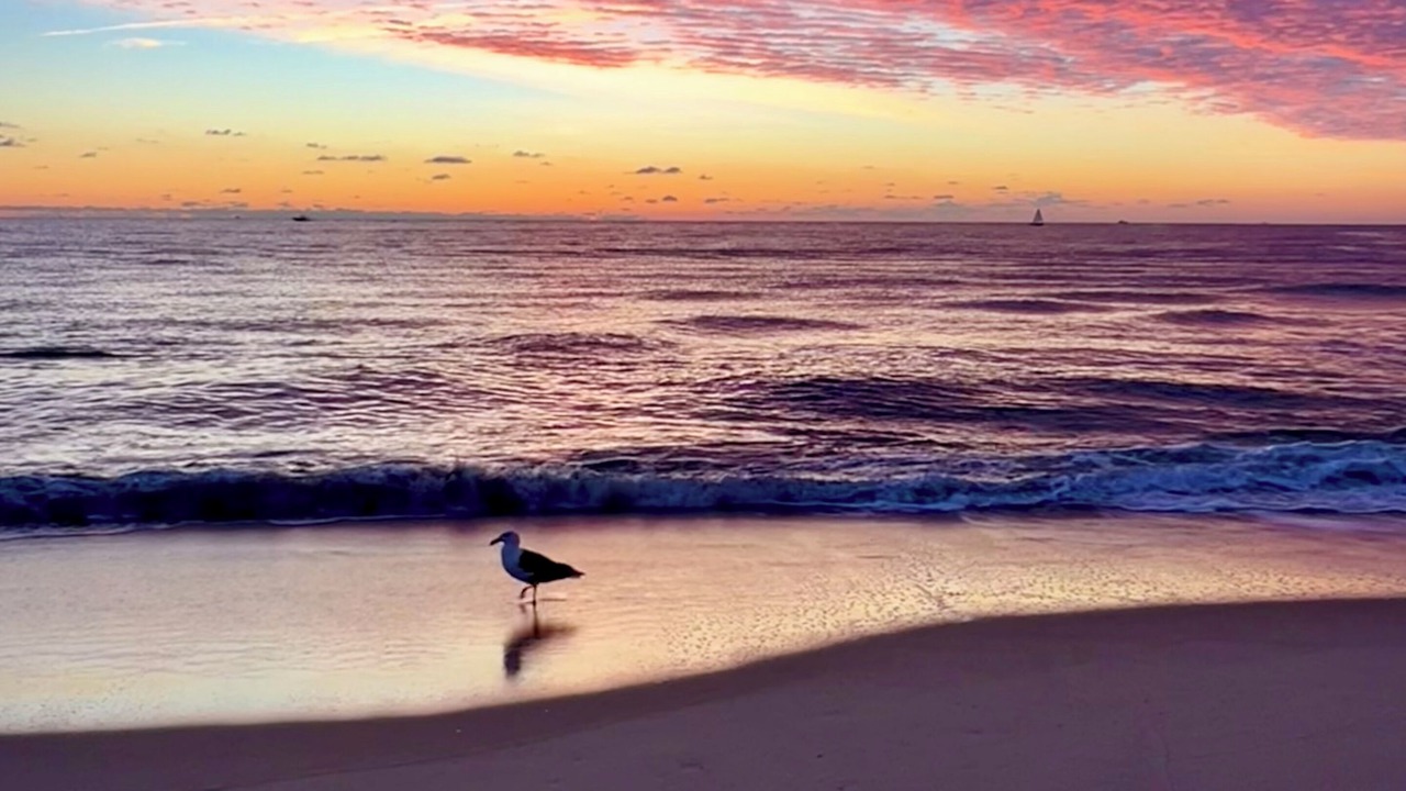 Photo of Others in Ocean Grove