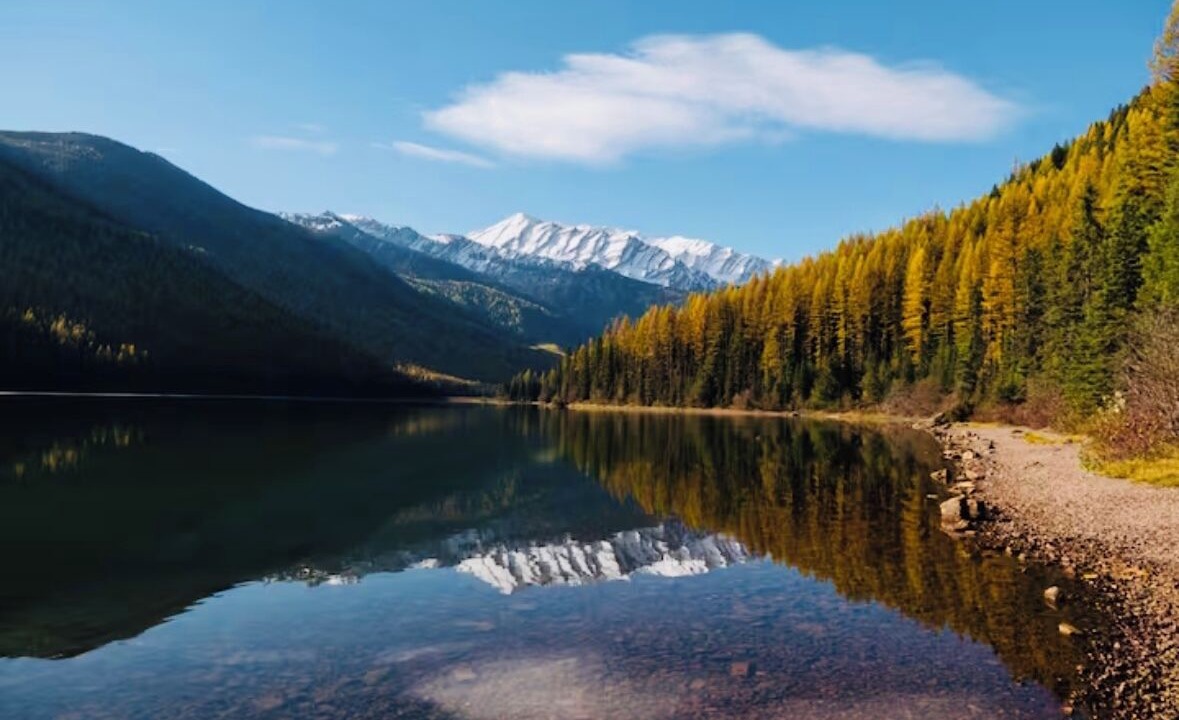 Photo of Others in West Glacier
