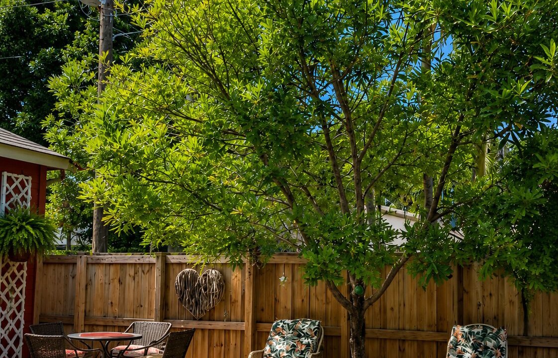 Photo of Outdoor in Downtown Hollywood