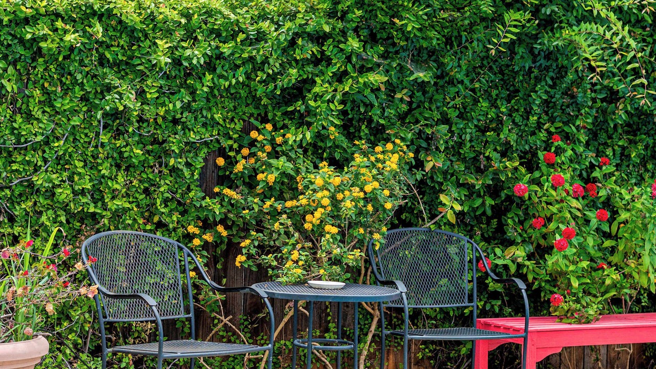 Photo of Outdoor in Sherman Oaks