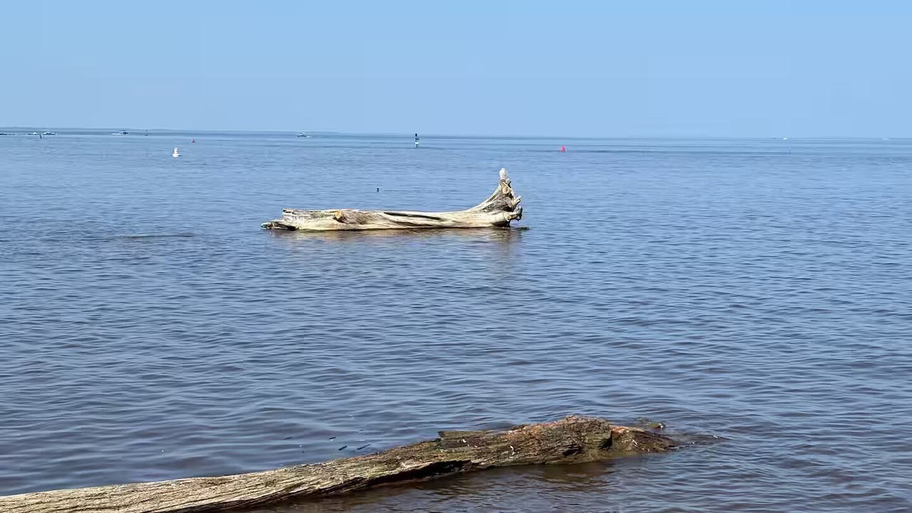 Photo of Others in Verona Beach