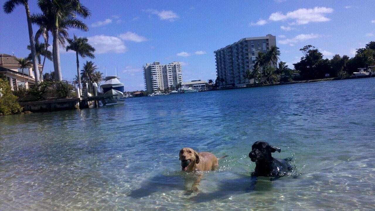 Photo of Others in Lighthouse Point