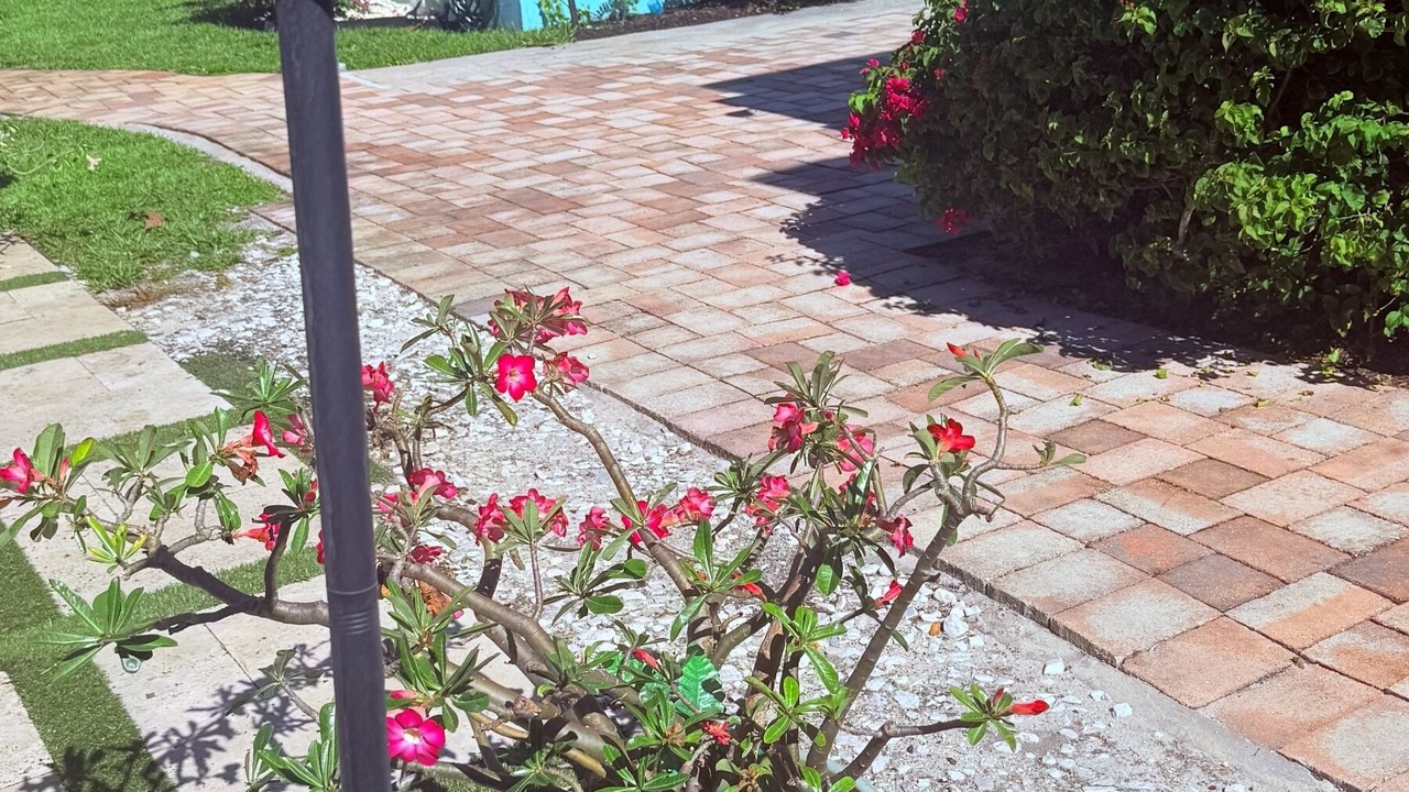 Photo of Outdoor in Harbordale