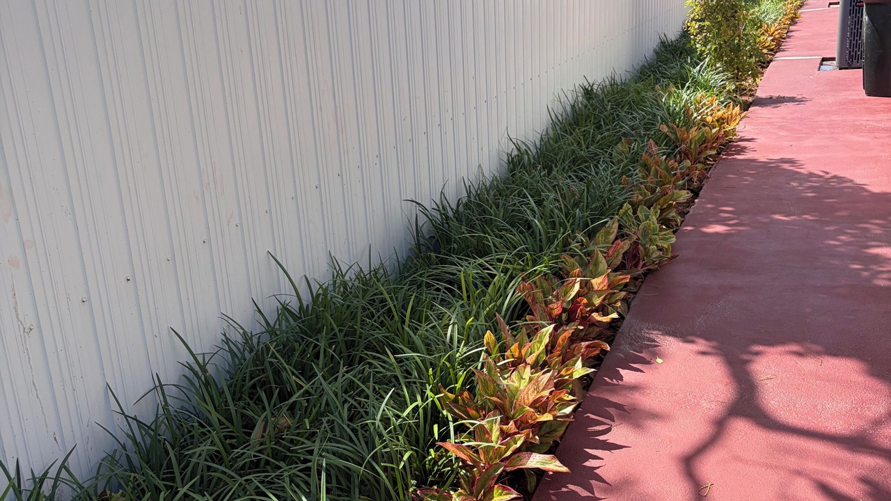 Photo of Outdoor in Hollywood
