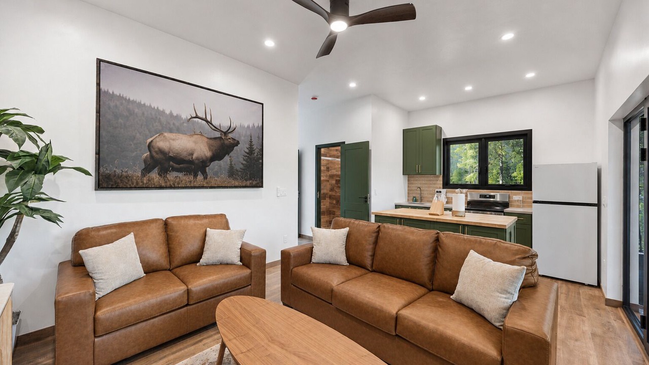 Photo of Livingroom in Martin City