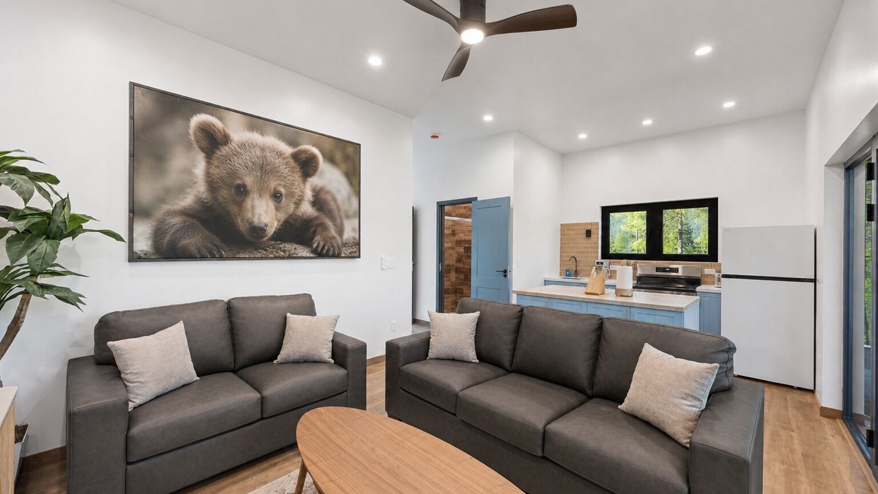 Photo of Livingroom in Martin City
