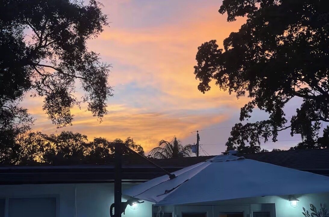 Photo of Outdoor in Plantation