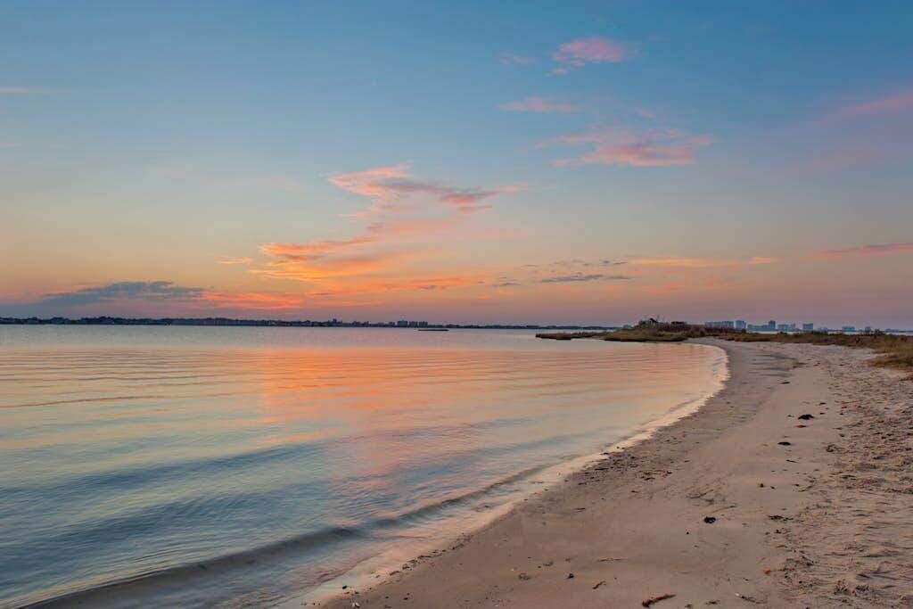 Photo of Others in Bayside