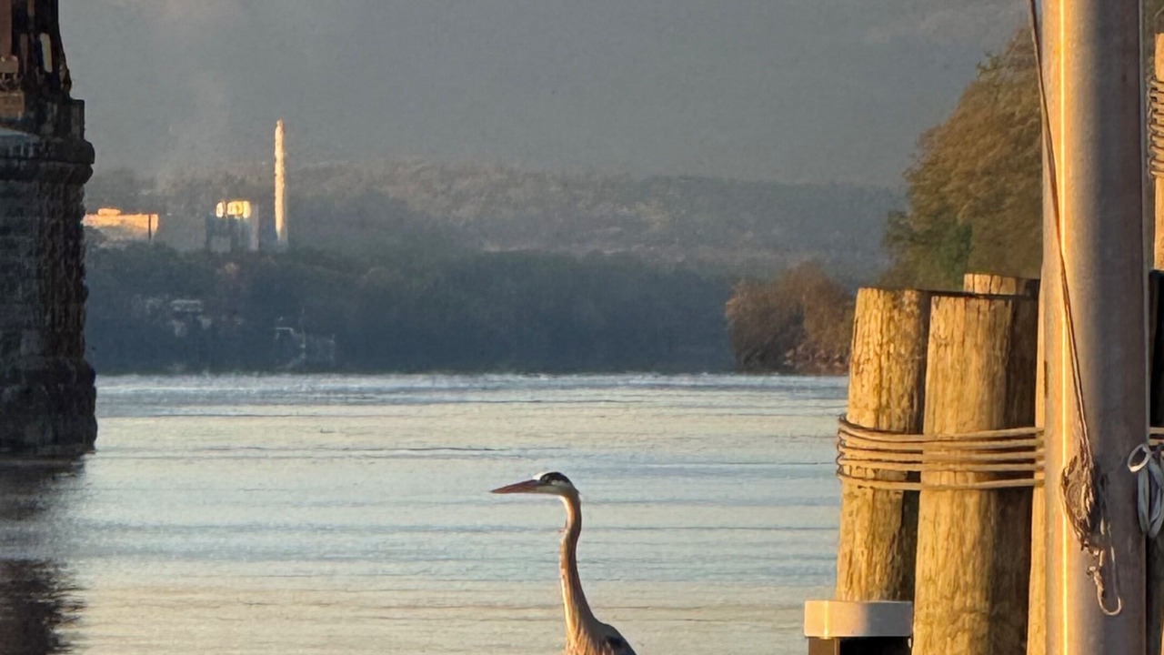 Photo of Others in Poughkeepsie