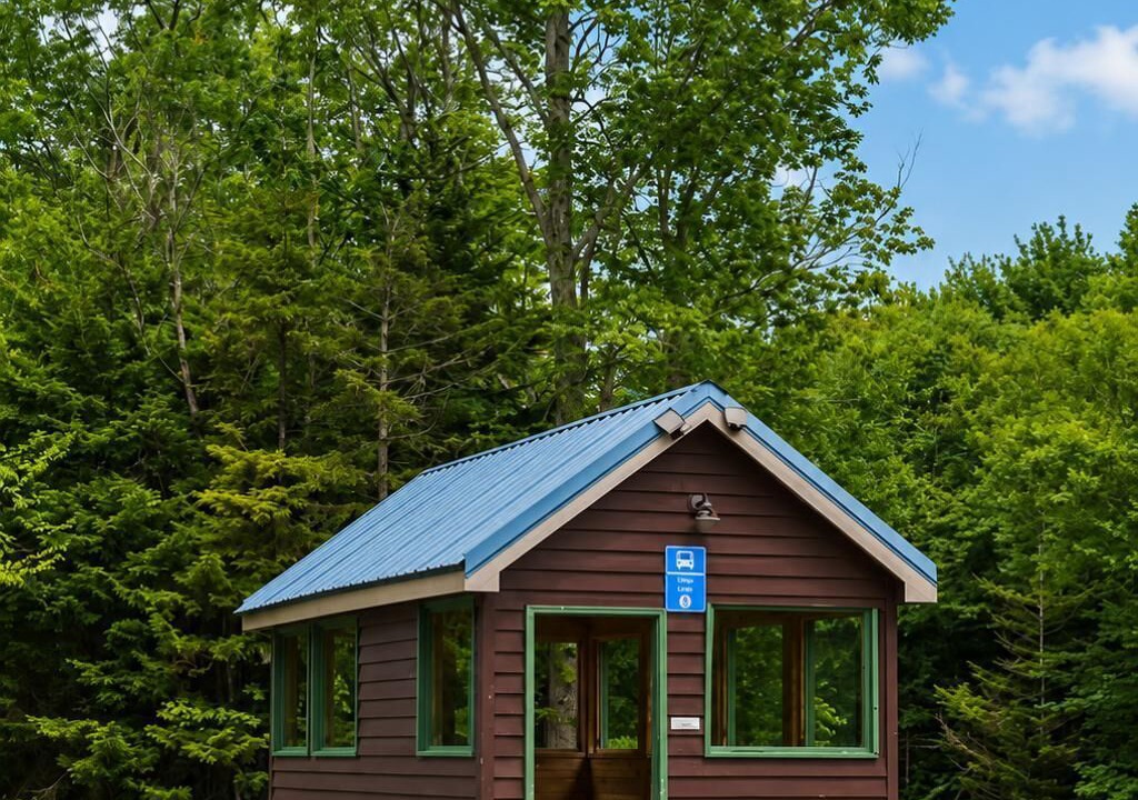 Photo of Others in Snowshoe
