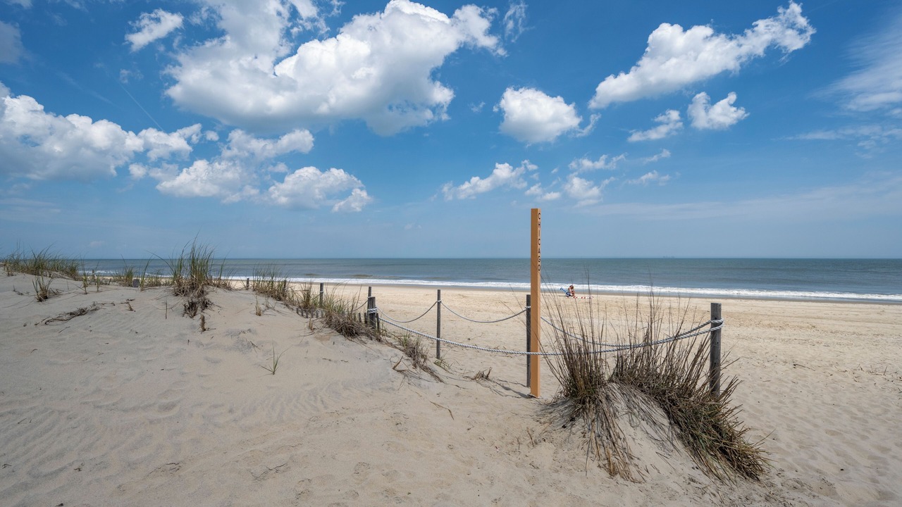 Photo of Others in Rehoboth by the Sea