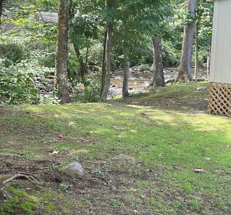 Photo of Outdoor in Northern