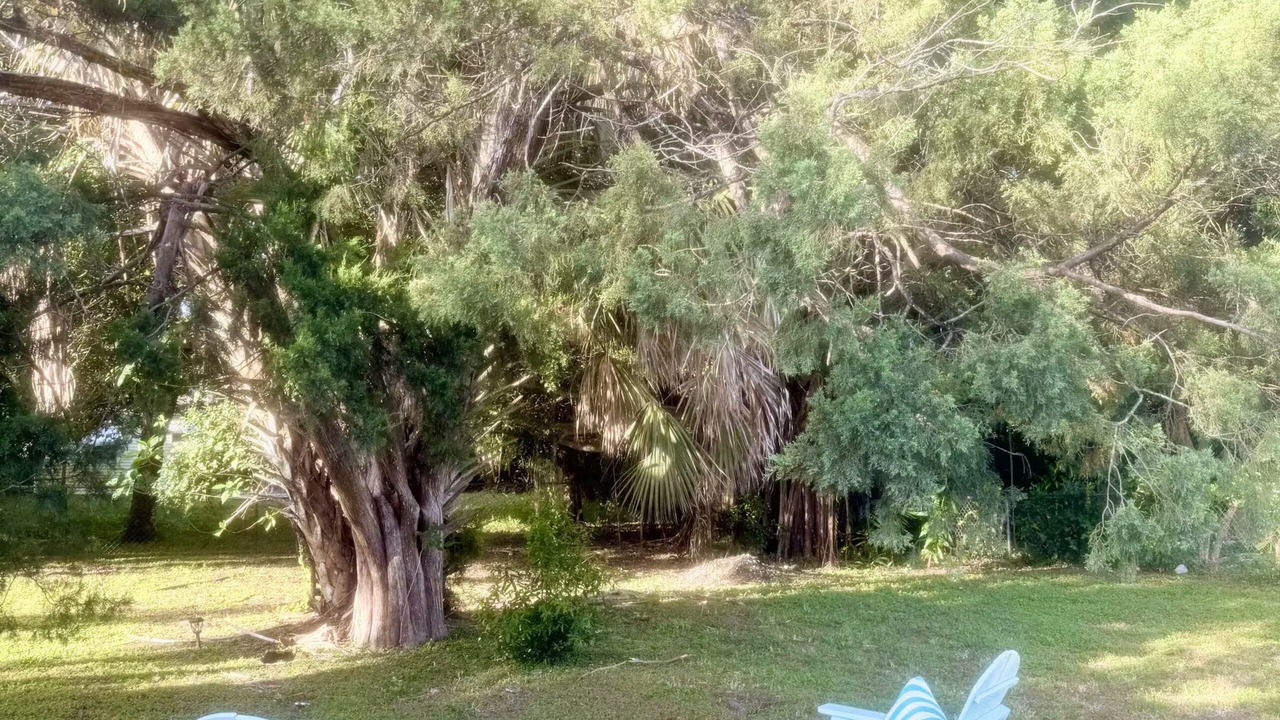 Photo of Outdoor in South Corals