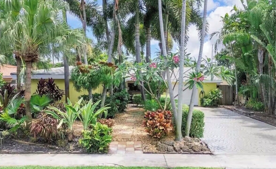 Photo of Outdoor in Central Corals
