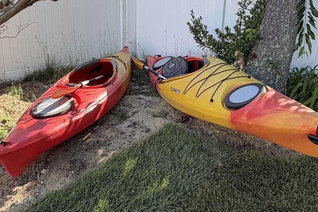 Photo of Others in North Cape May