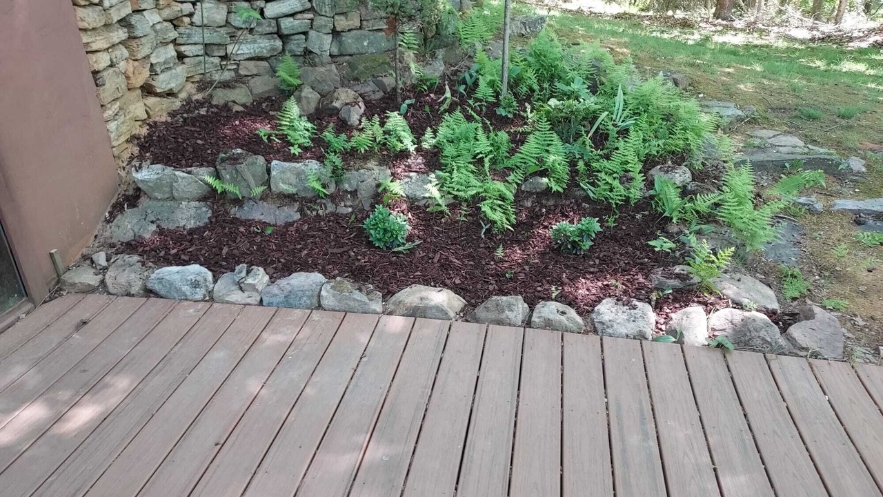 Photo of Outdoor in Millboro Springs