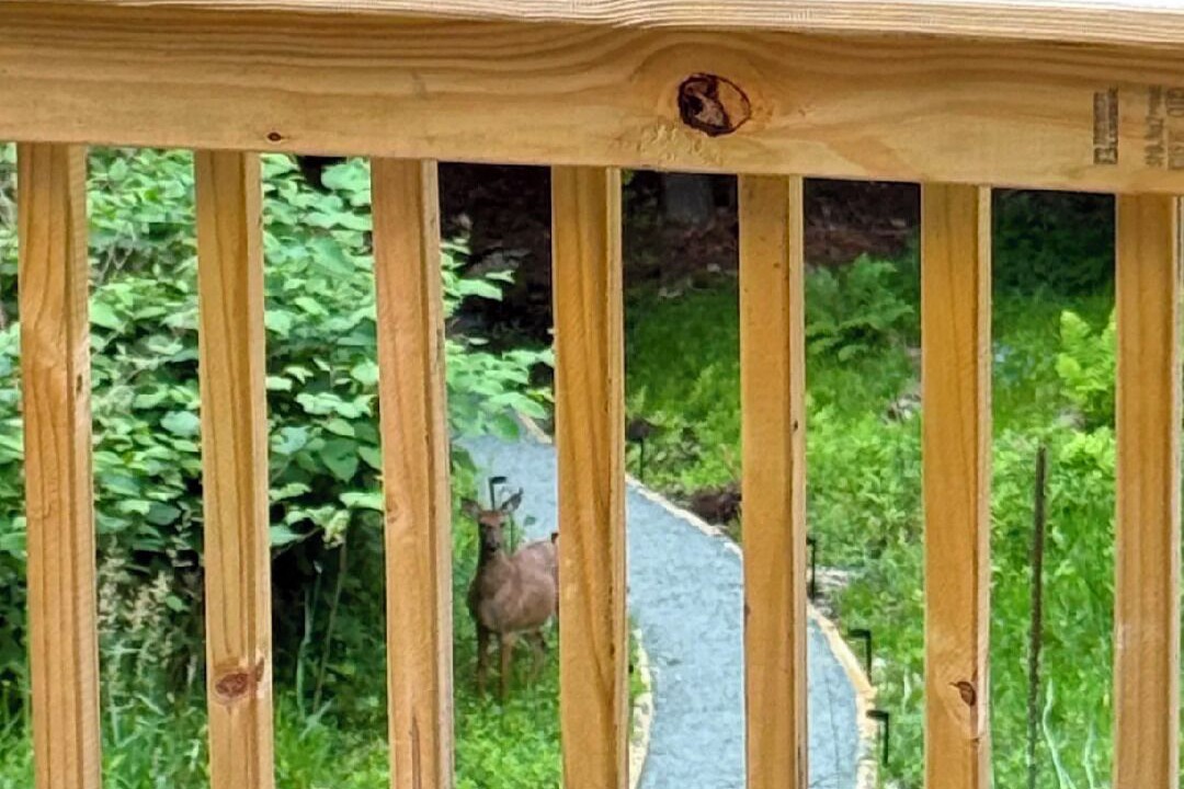 Photo of Others in Livingston Manor